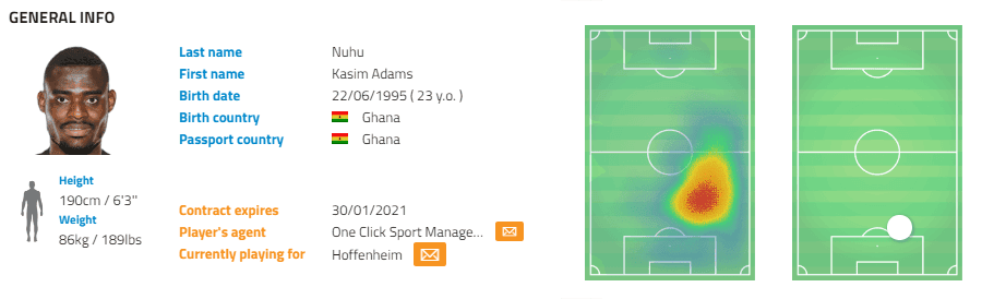 TSG Hoffenheim Nagelsmann Bundesliga Tactical Analysis