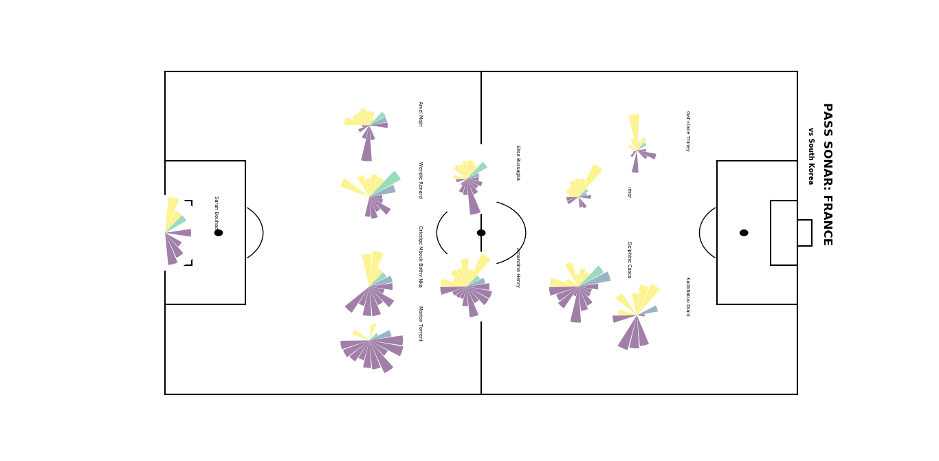 FIFA Women's World Cup 2019 data analysis: France vs South Korea