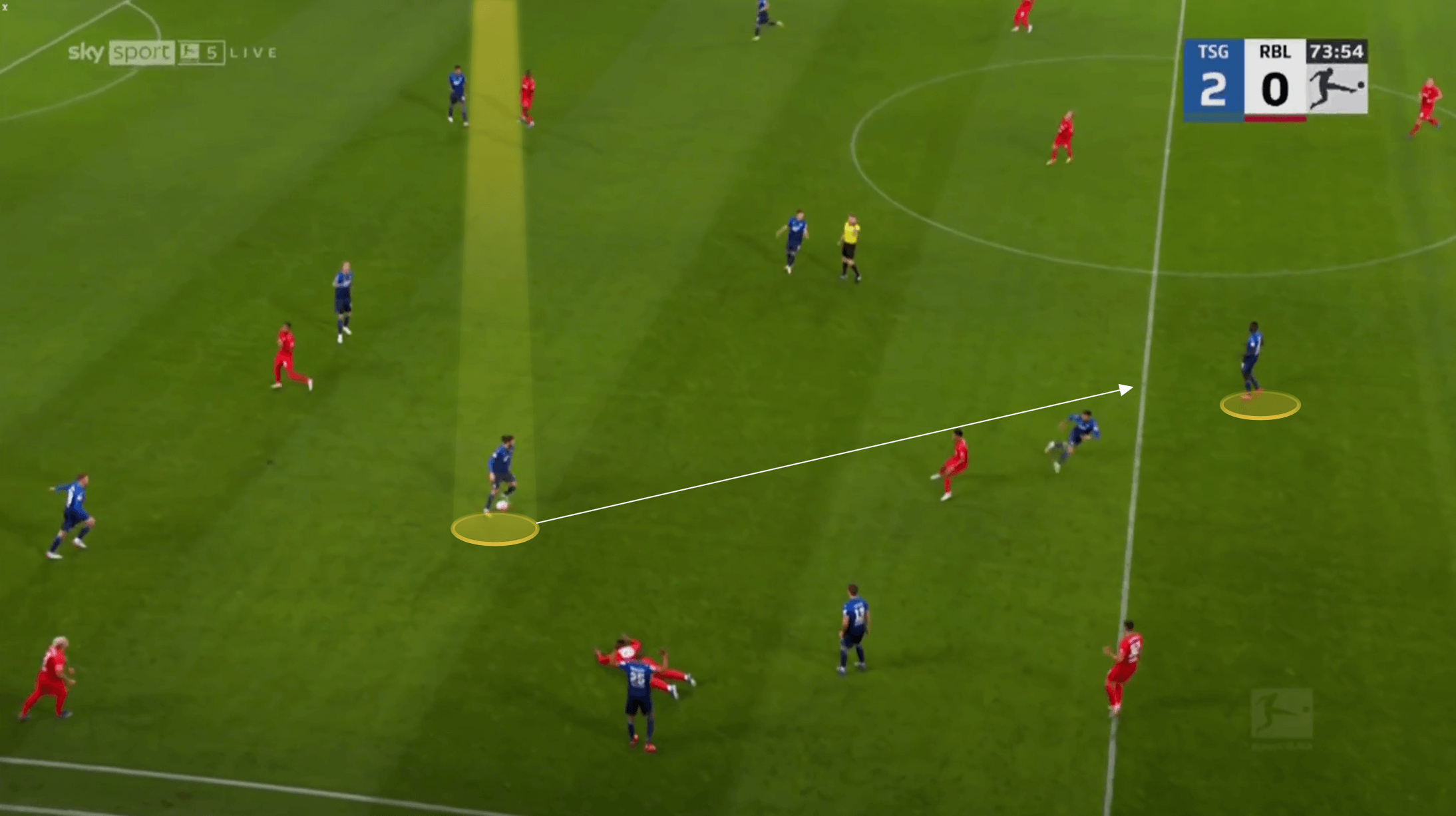 Bundesliga 2021/22: Florian Grillitsch at Hoffenheim - scout report tactical analysis tactics