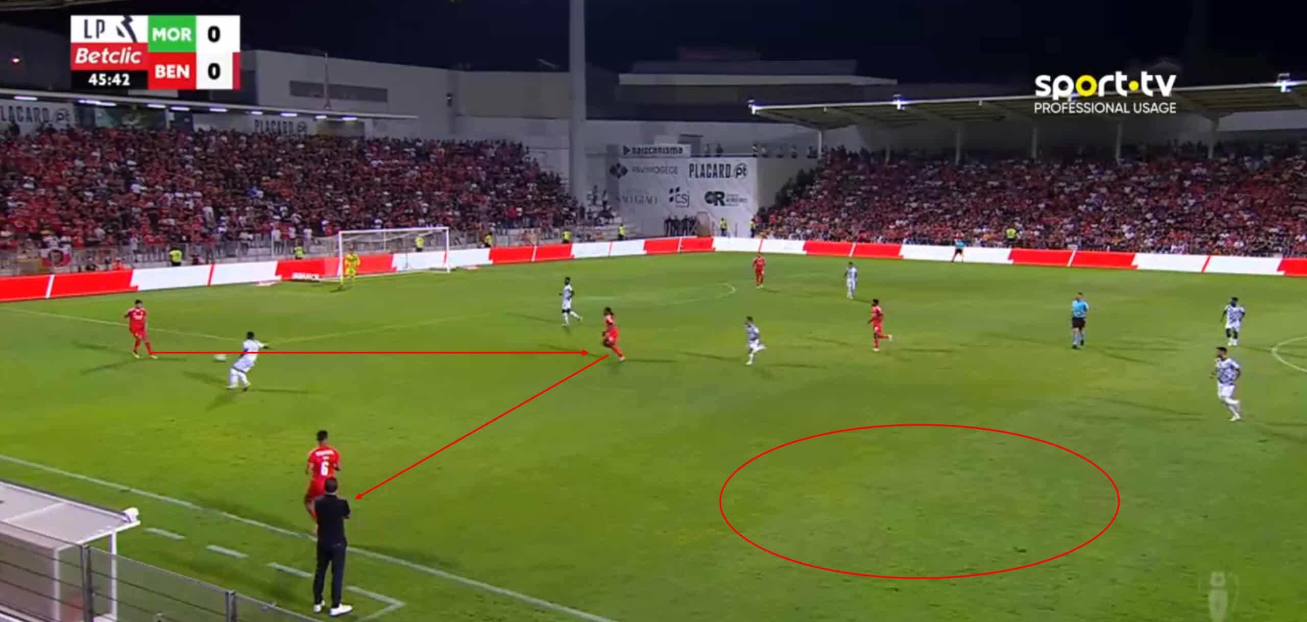 Benfica 24/25: Problems Bruno Lage needs to fix after taking over from Roger Schmidt - tactics